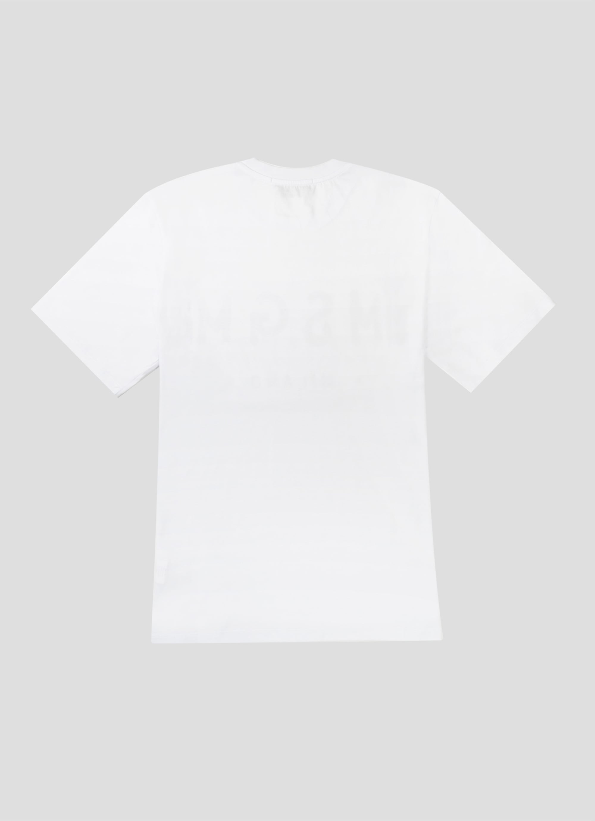 【NEW】ブラッシュロゴTシャツ 詳細画像 ホワイト×ブルー 2