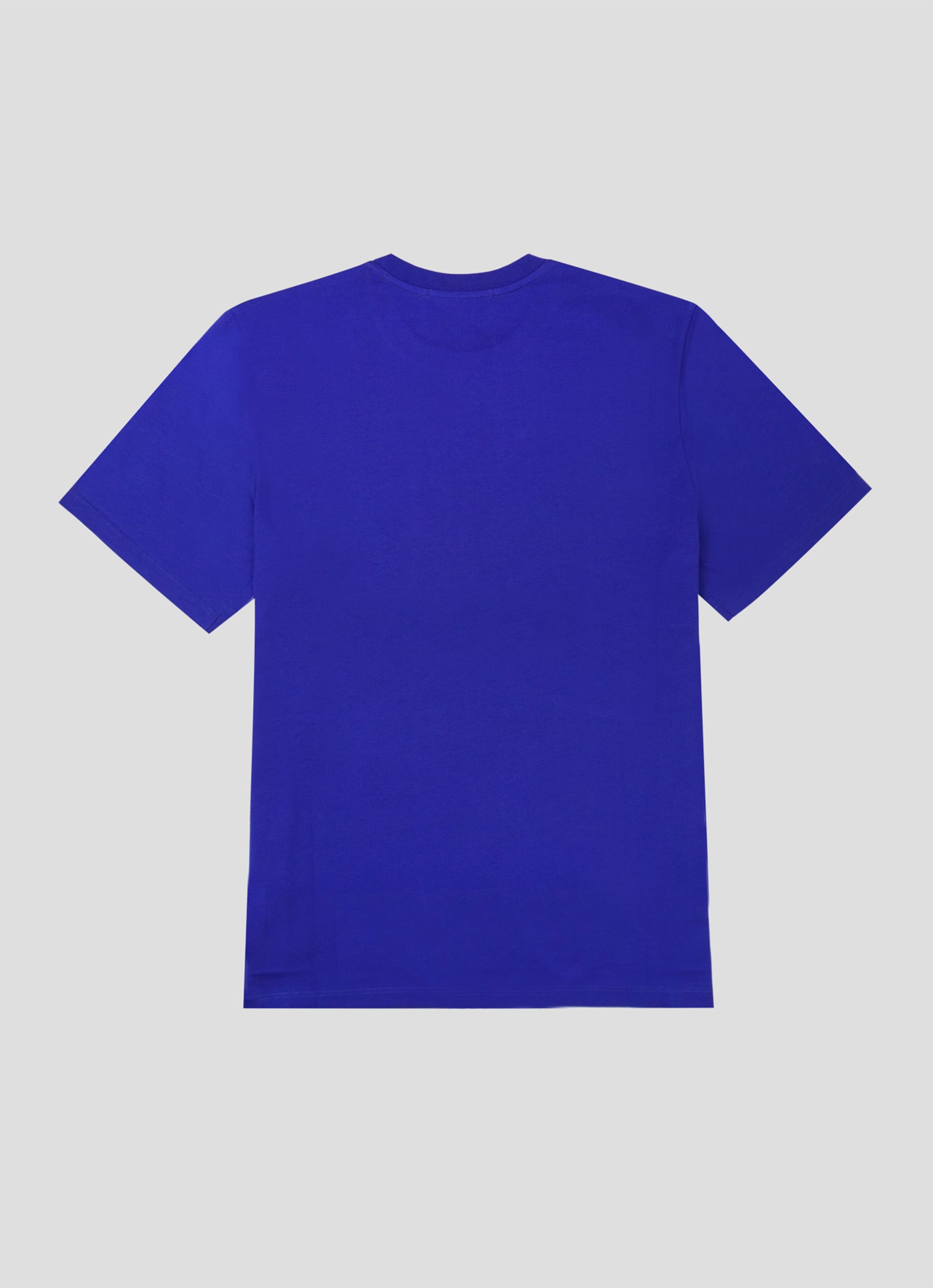 【NEW】ブラッシュロゴTシャツ 詳細画像 エレクトリックブルー 2