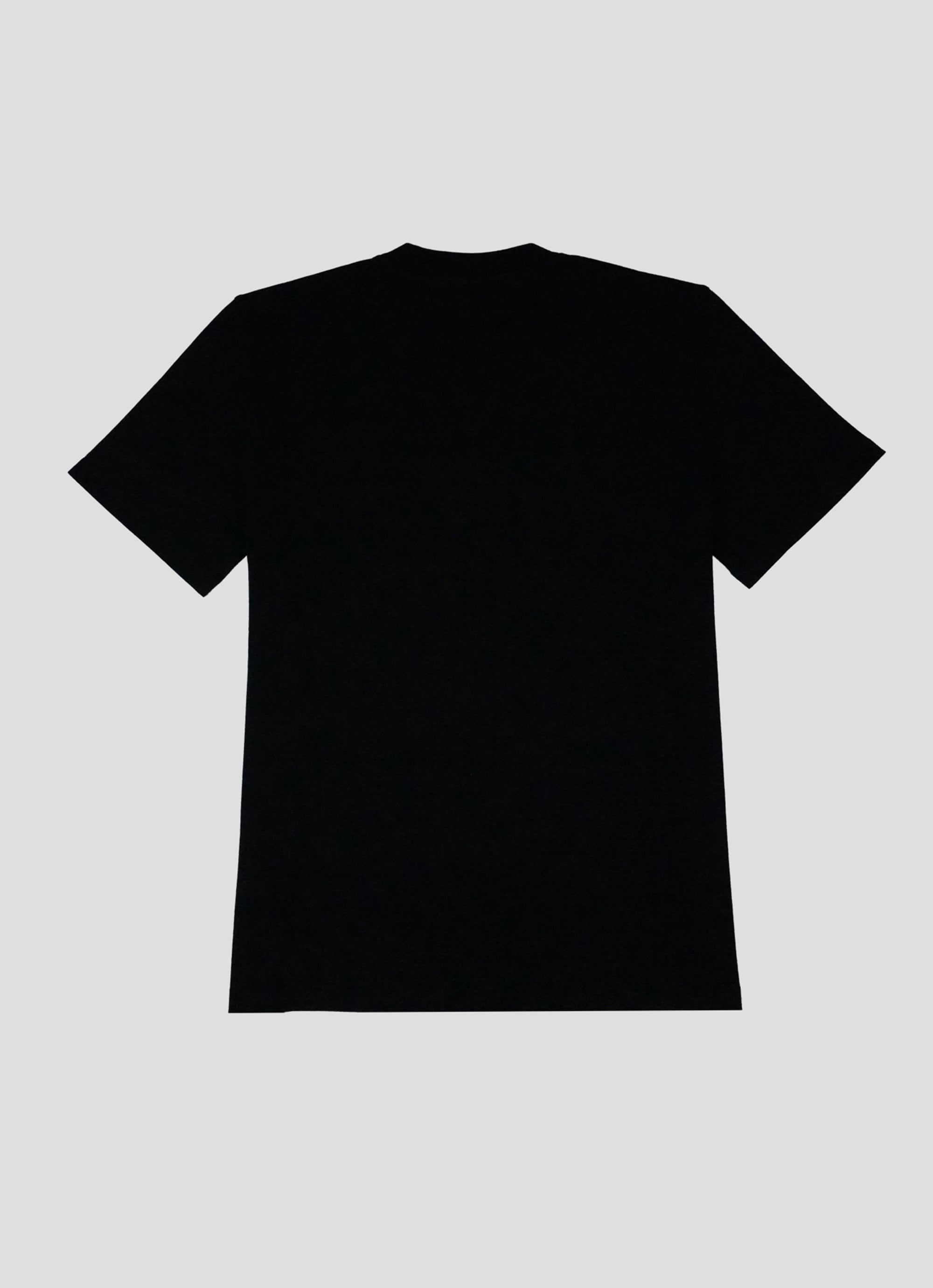MSGM ブラッシュロゴTシャツ【FOIL PRINT】 詳細画像 ブラック×ゴールド 2