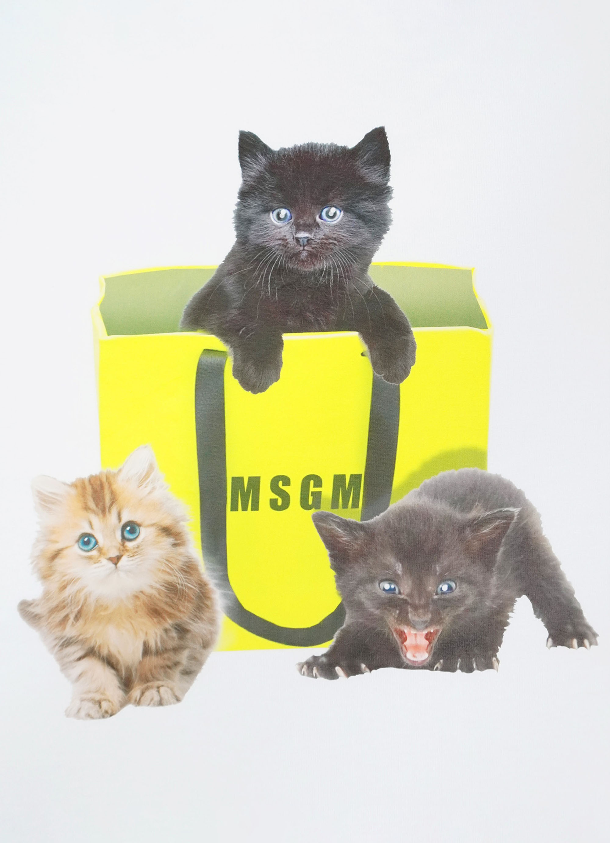 MSGM LOVELY CAT プリントTシャツ 詳細画像 ホワイト 3