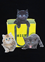 MSGM LOVELY CAT グラフィックパーカー 詳細画像 ブラック 3