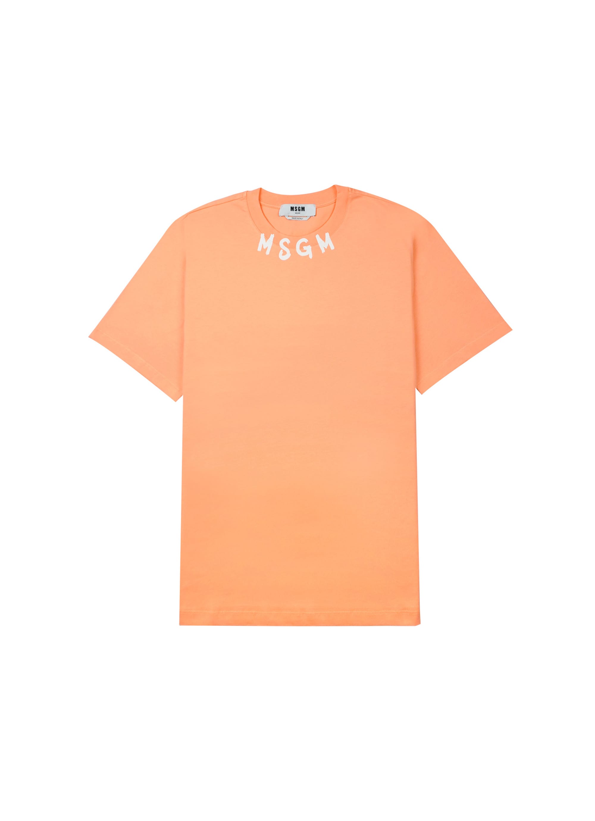 【NEW】ブラッシュストローク ロゴTシャツ 詳細画像 オレンジ 1