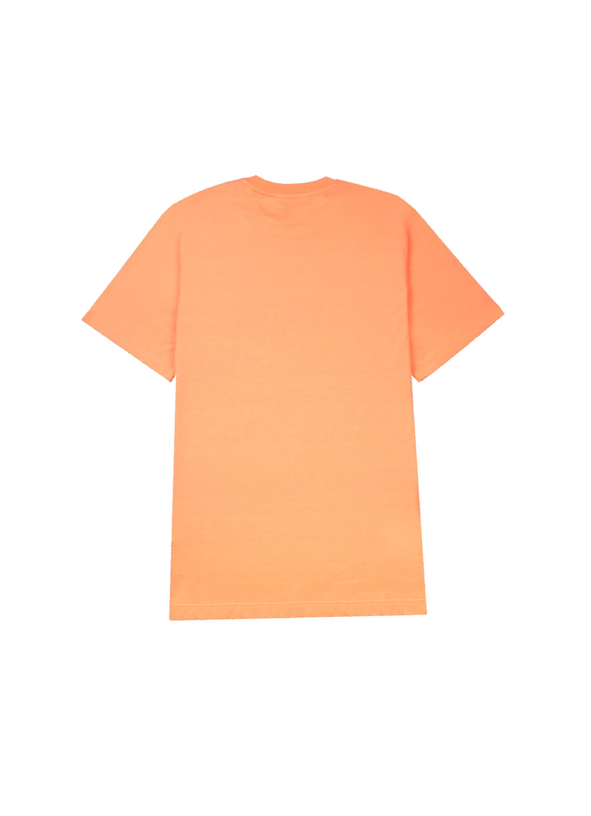 【NEW】ブラッシュストローク ロゴTシャツ 詳細画像 オレンジ 2