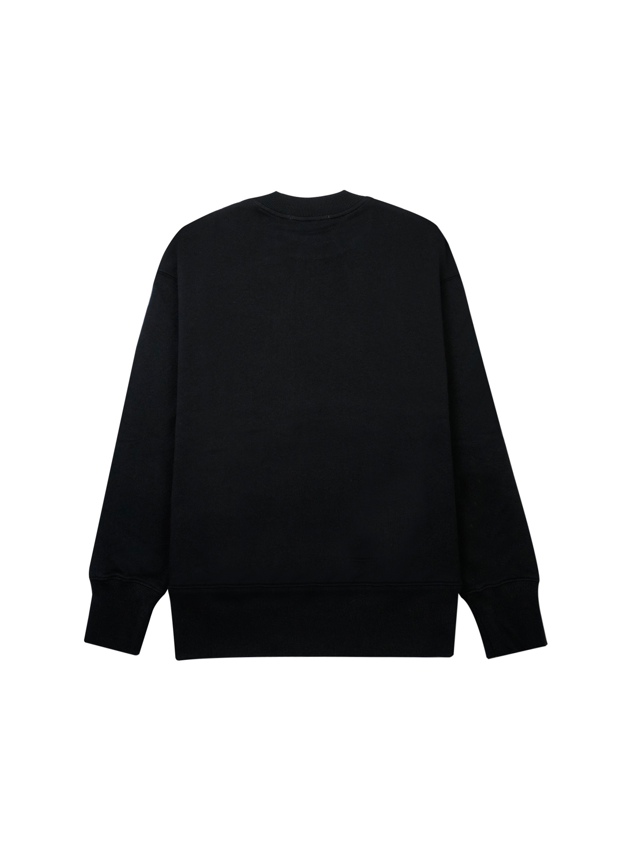 【NEW】ブラッシュストローク スウェットシャツ 詳細画像 ブラック 2