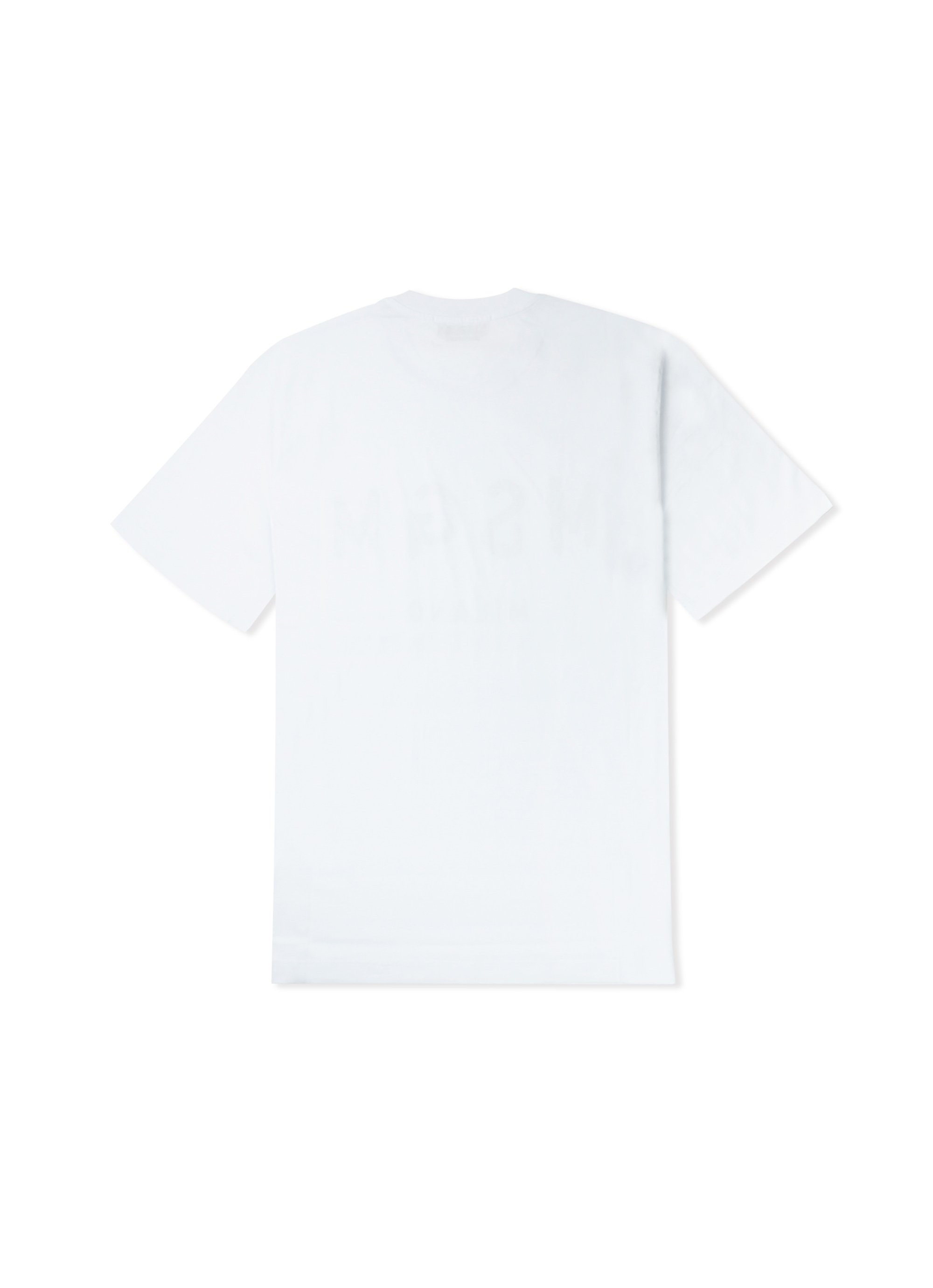 【NEW】ブラッシュロゴTシャツ 詳細画像 ホワイト 2