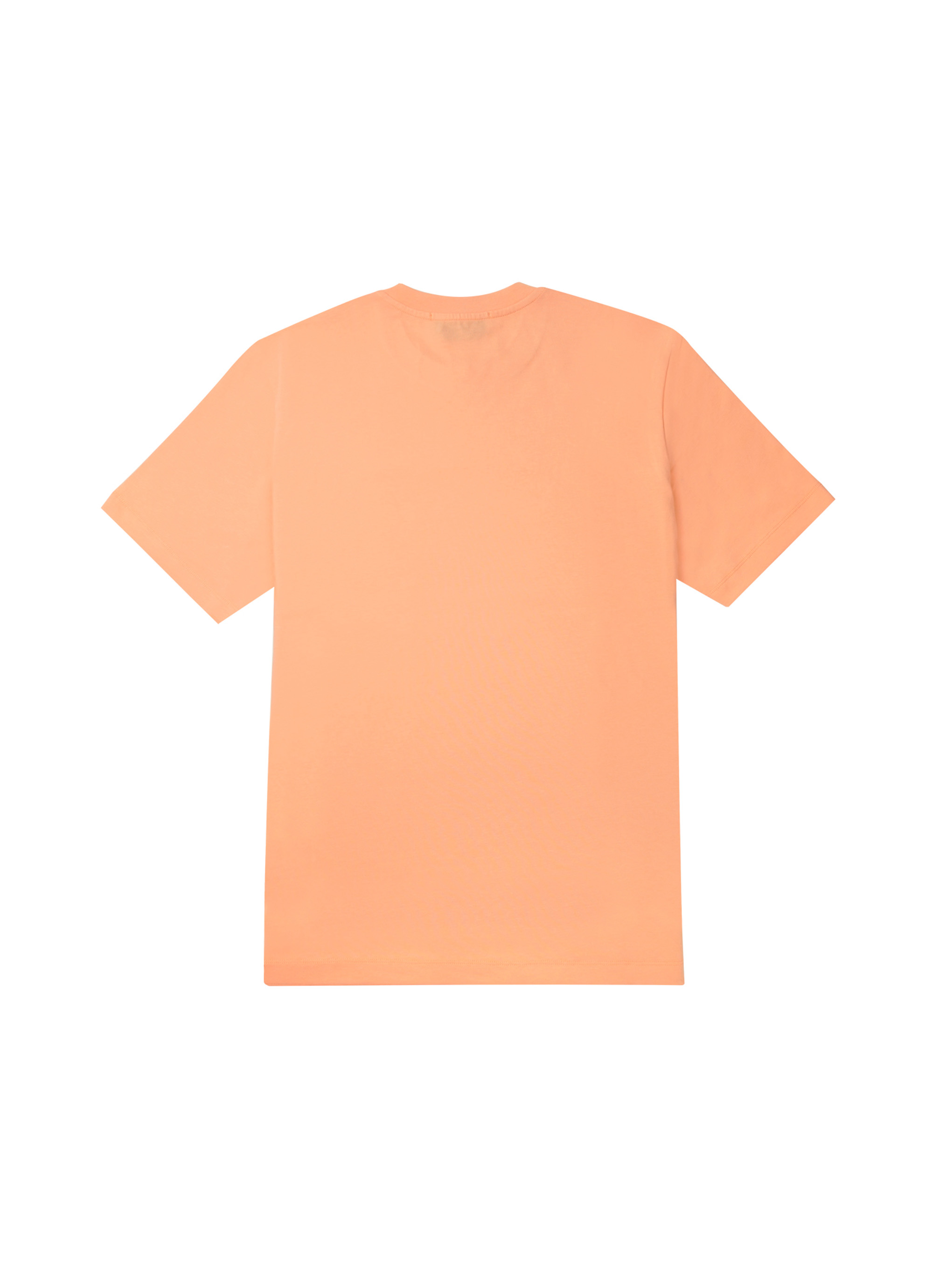 【NEW】ブラッシュロゴTシャツ 詳細画像 オレンジ 2