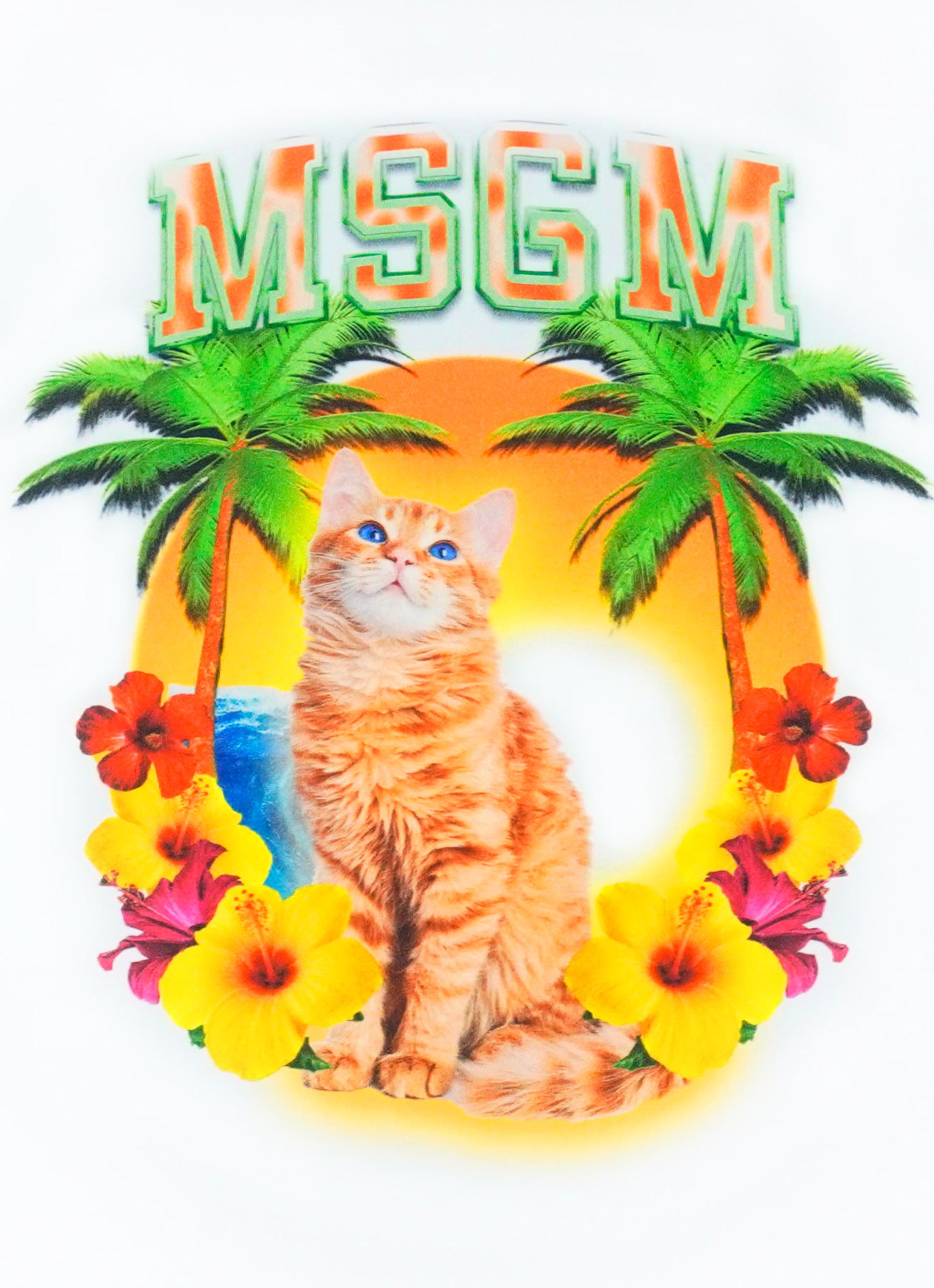 MSGM COLLEGE CAT グラフィックTシャツ