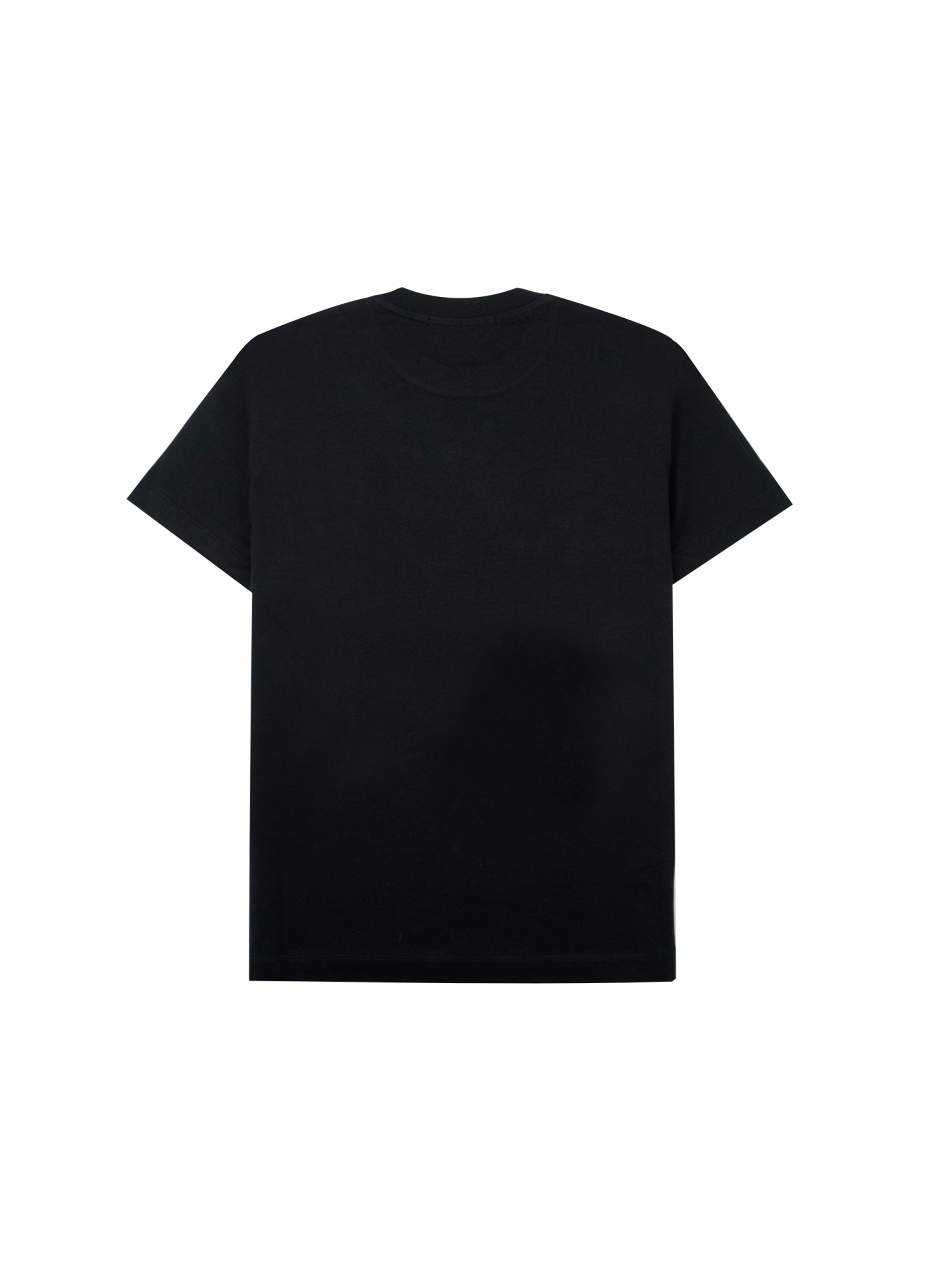 【NEW】MSGM ブラッシュロゴTシャツ＜GLITTER SILVER PRINT＞ 詳細画像 ブラック×グリッターシルバー 2