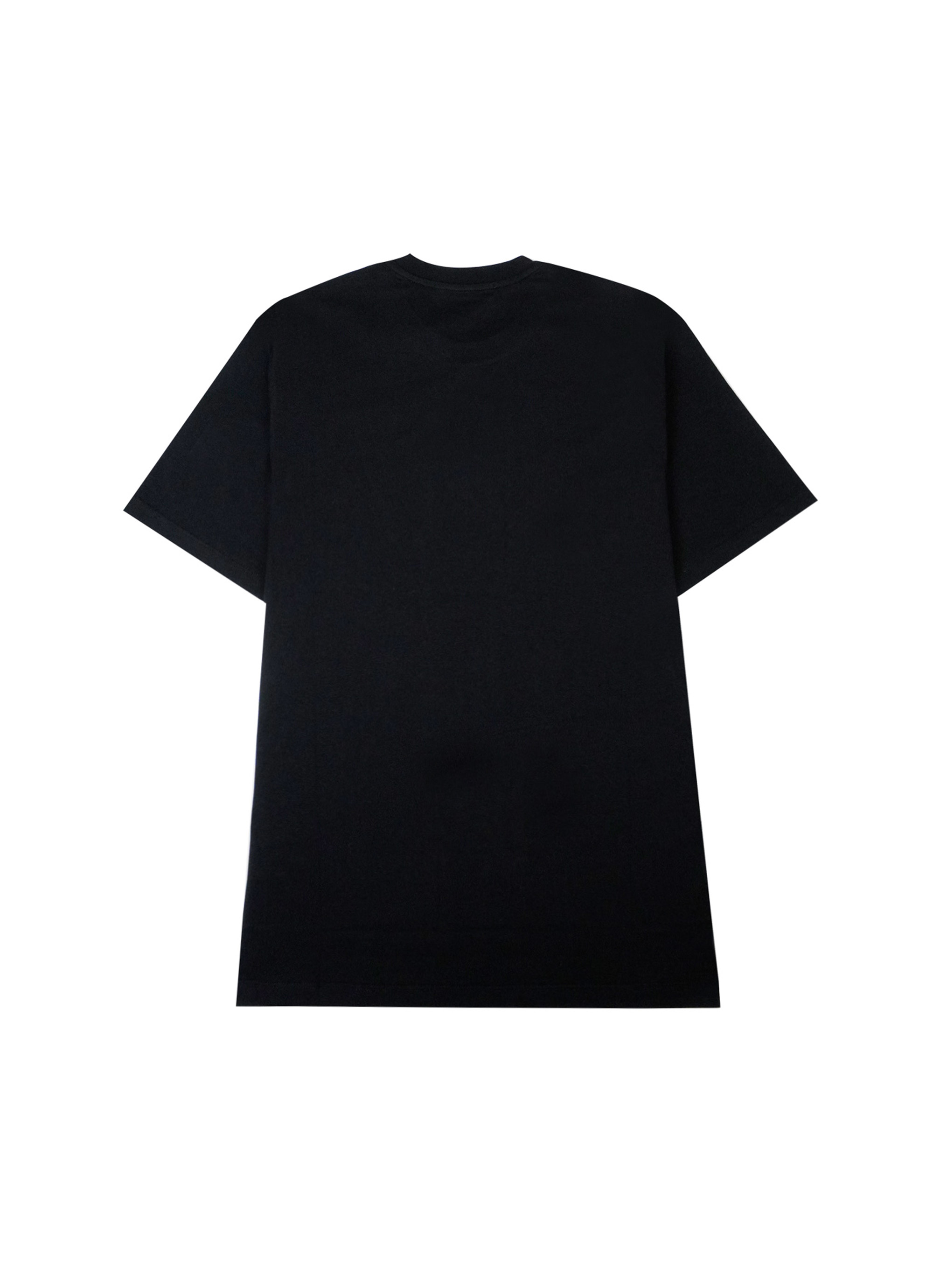 【NEW】ブラッシュロゴTシャツ 詳細画像 ブラック 2