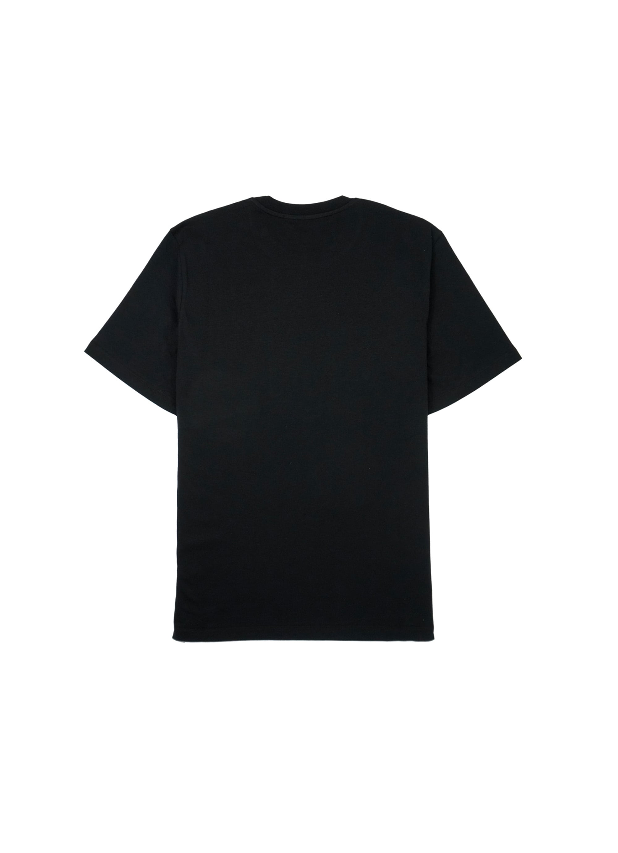 MSGM ブラッシュロゴ Tシャツ【Japan Exclusive/FOIL PRINT】 詳細画像 ブラック×シルバー 2