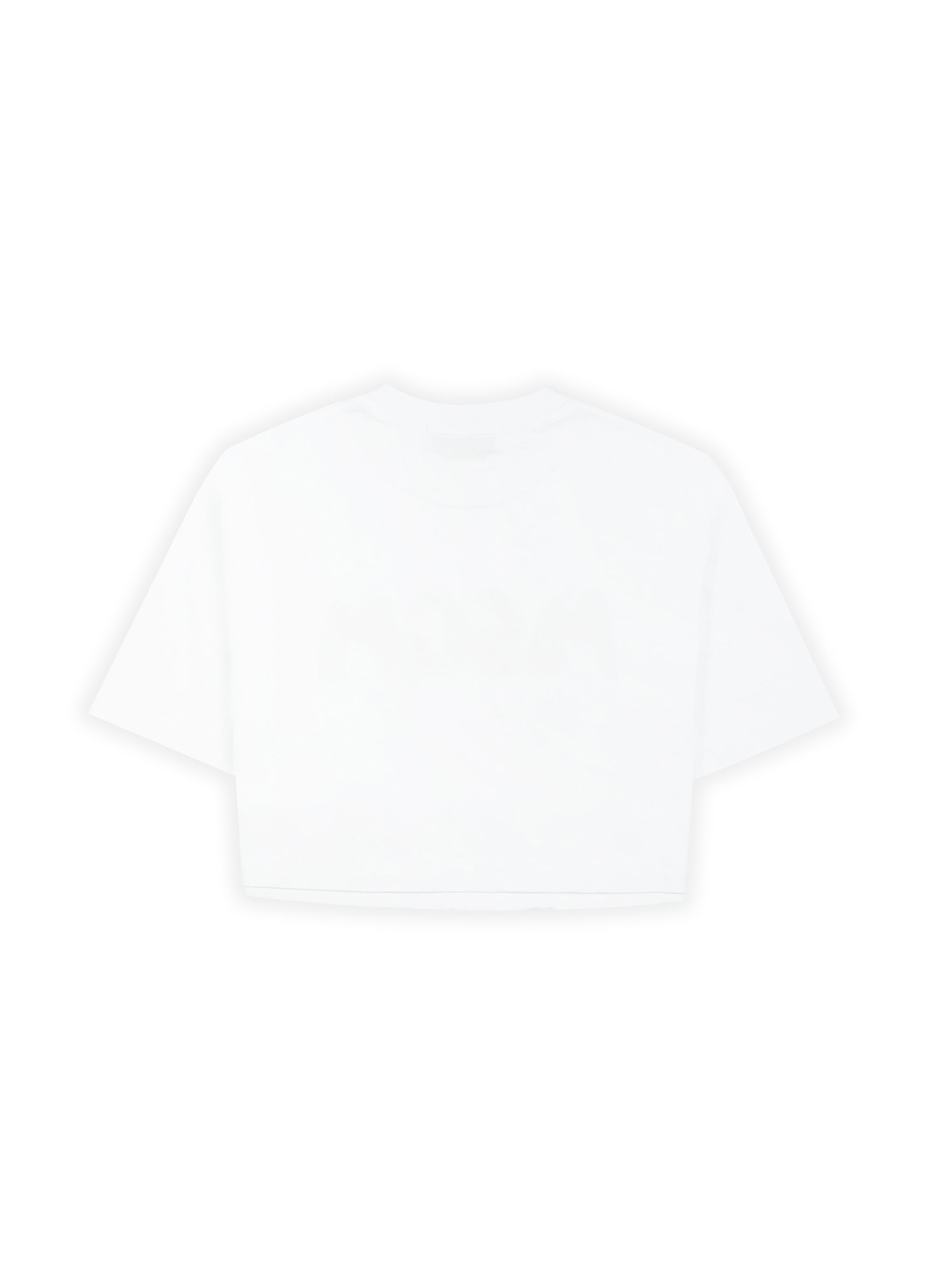 MSGM NEWブラッシュストロークロゴ クロップドTシャツ 詳細画像 ホワイト 2
