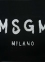 【NEW】MSGM ブラッシュロゴTシャツ【Japan Exclusive/GLITTER PRINT】 詳細画像 ブラック×シルバーグリッター 3