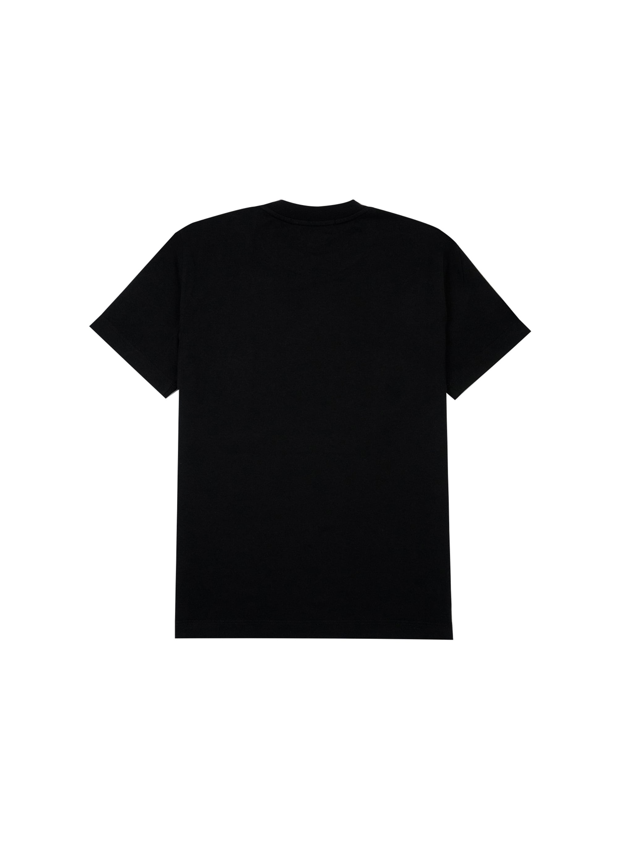 【NEW】MSGM ブラッシュロゴTシャツ【Japan Exclusive/GLITTER PRINT】 詳細画像 ブラック×シルバーグリッター 2