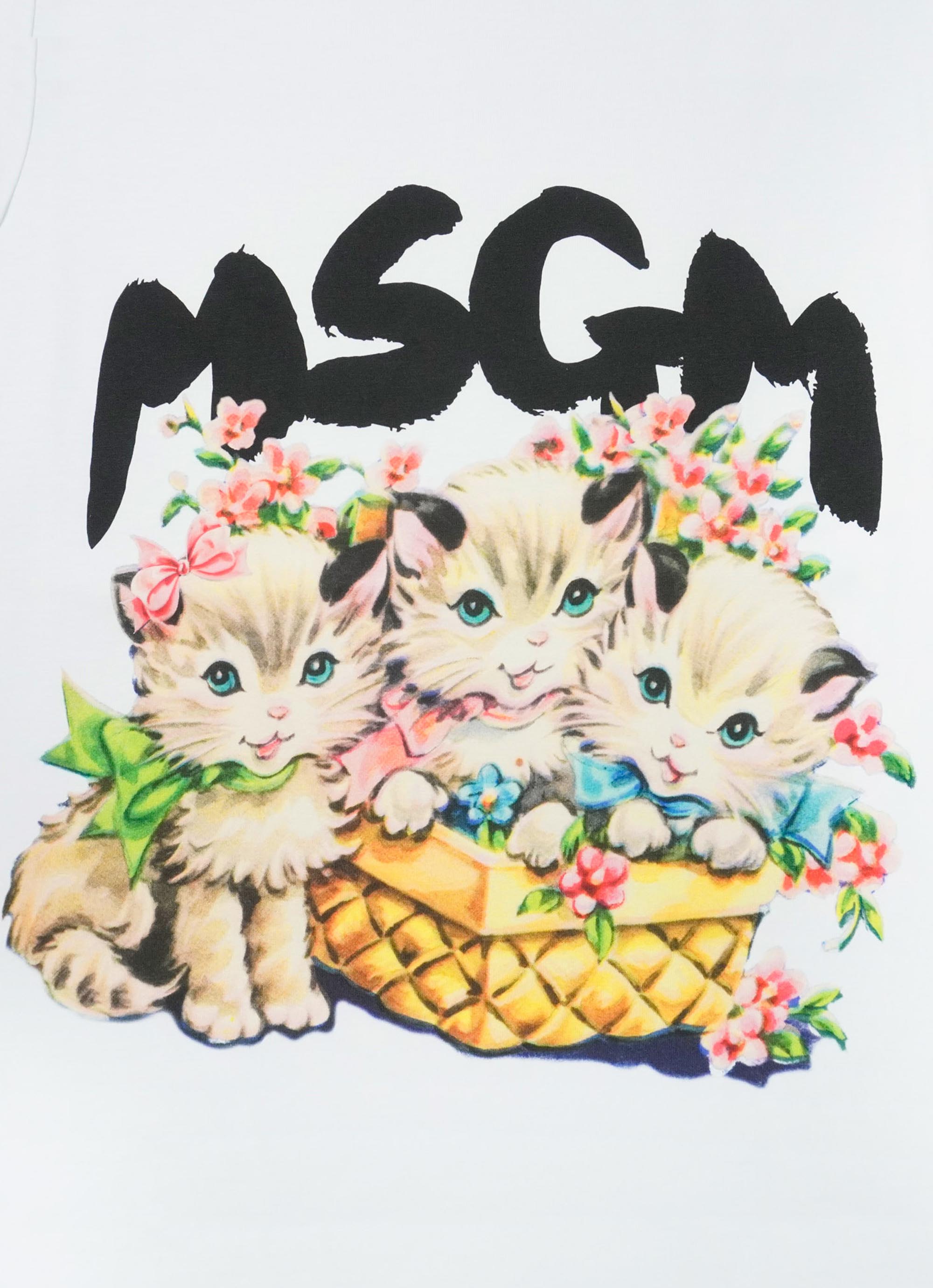 MSGM BASKET CATS グラフィックTシャツ 詳細画像 ホワイト 3