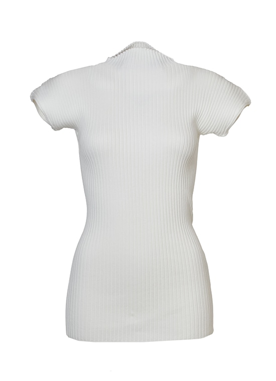 ショートスリーブハイネックリブニット