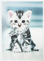 MSGM KIDS CAT グラフィック クロップドTシャツ 詳細画像 ホワイト 3